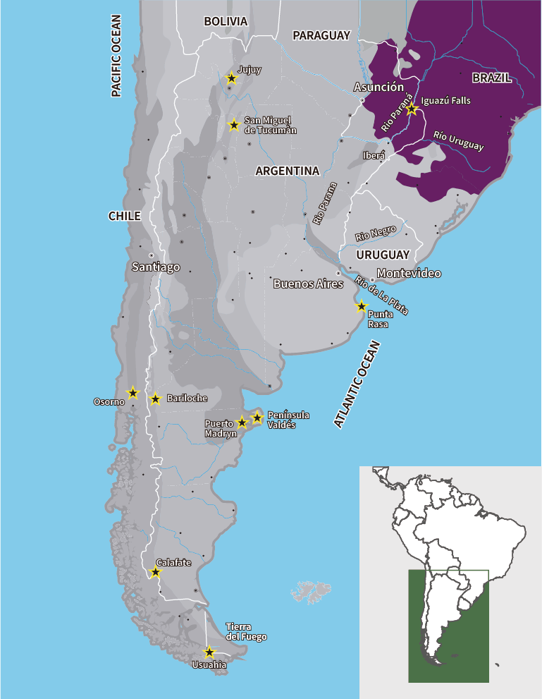 SELVA ATLÁNTICA
