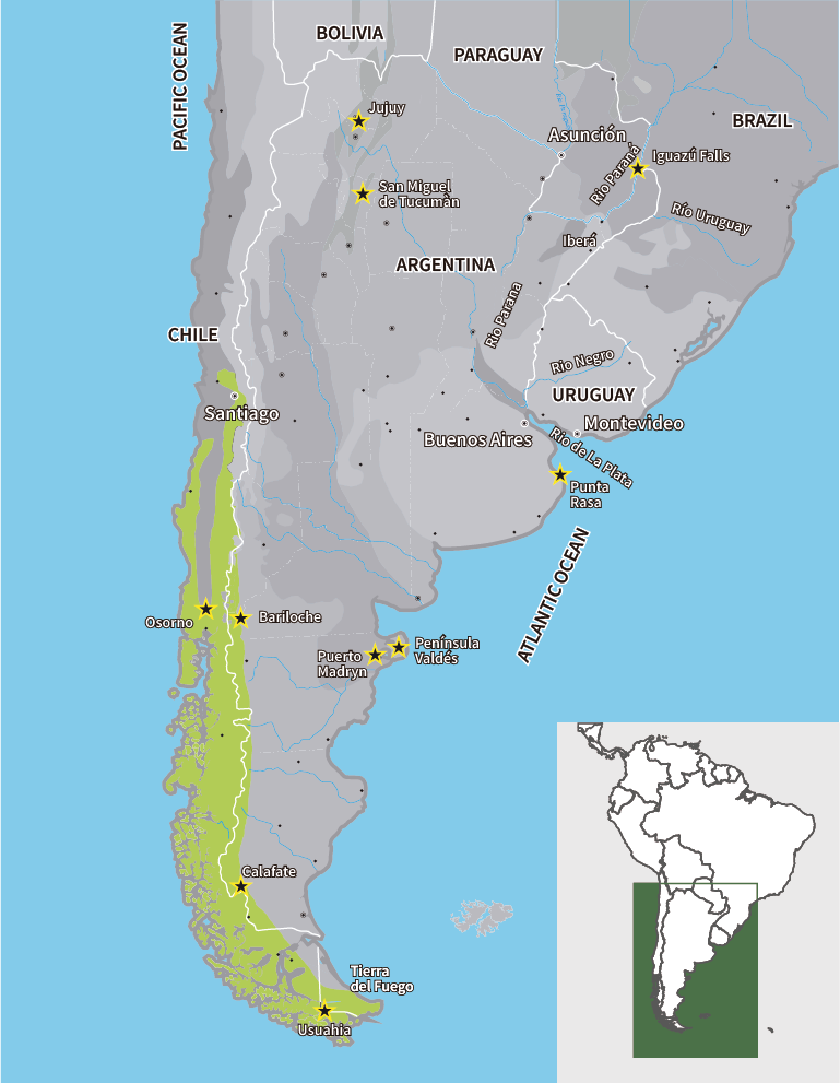 BOSQUE ANDINO PATAGÓNICO