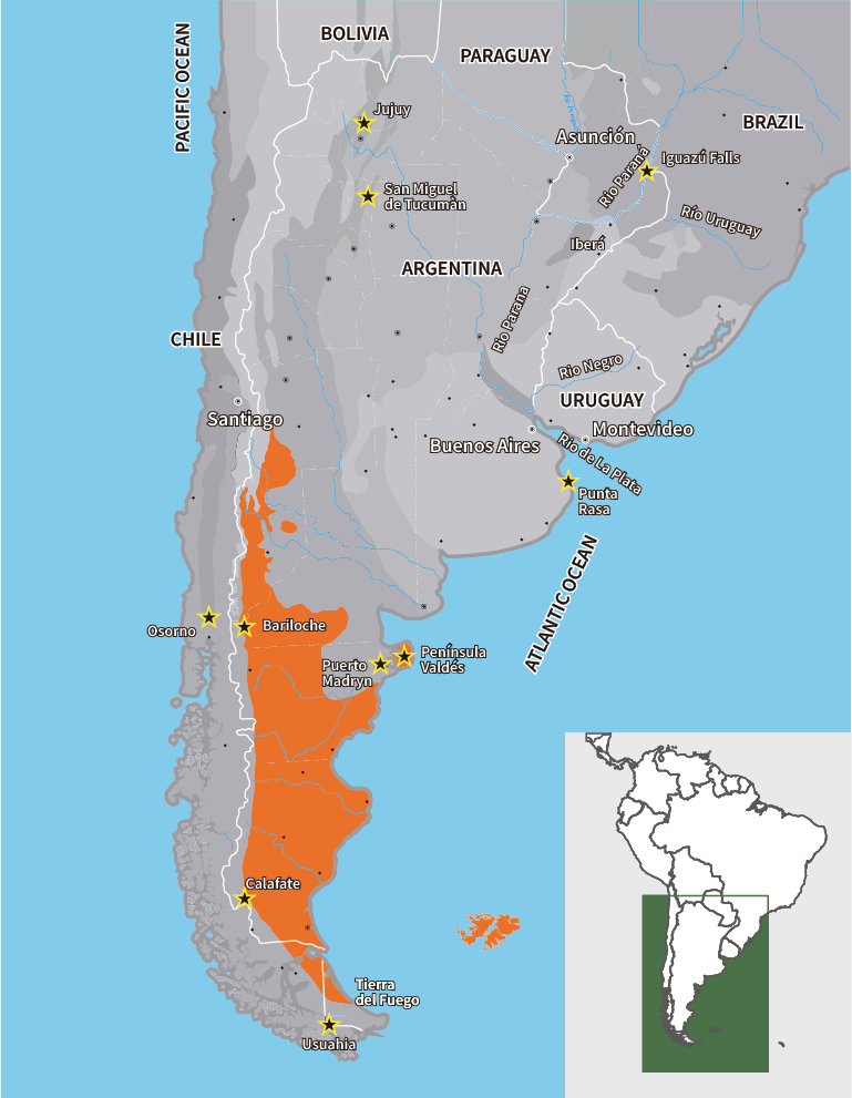 ESTEPA PATAGONICA