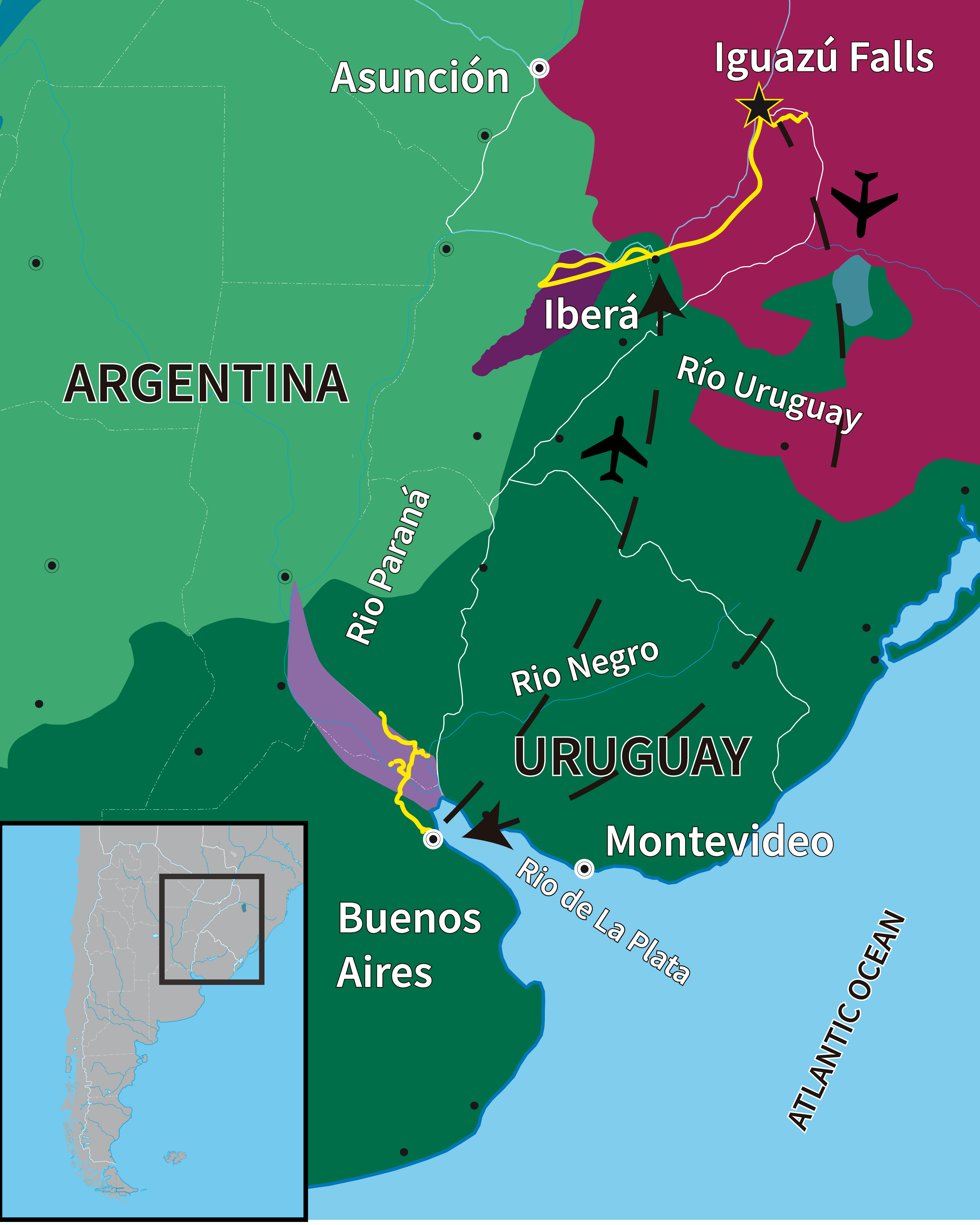 Ceibas Iberá Iguazú