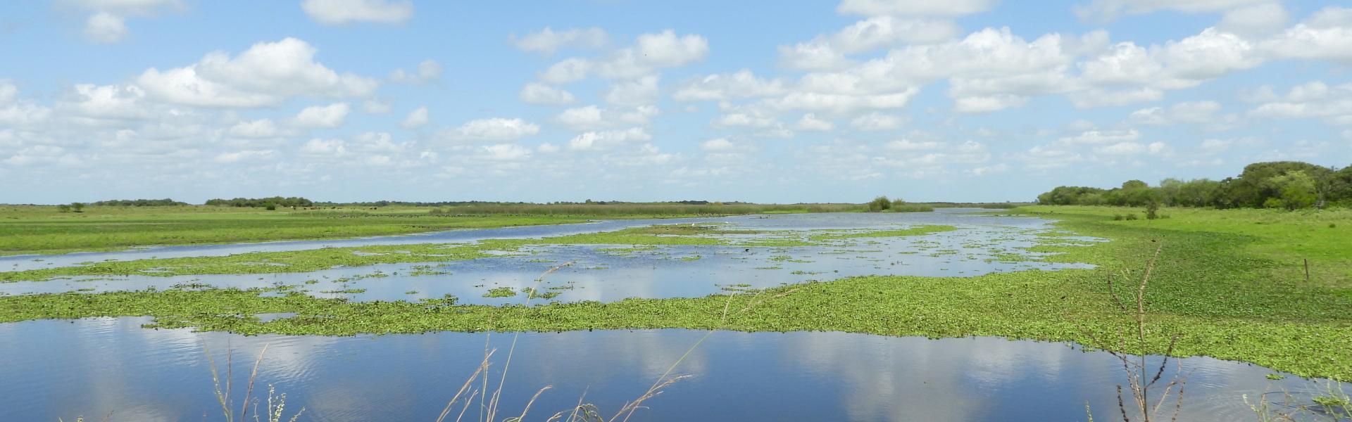 Pampas, Costa y Delta