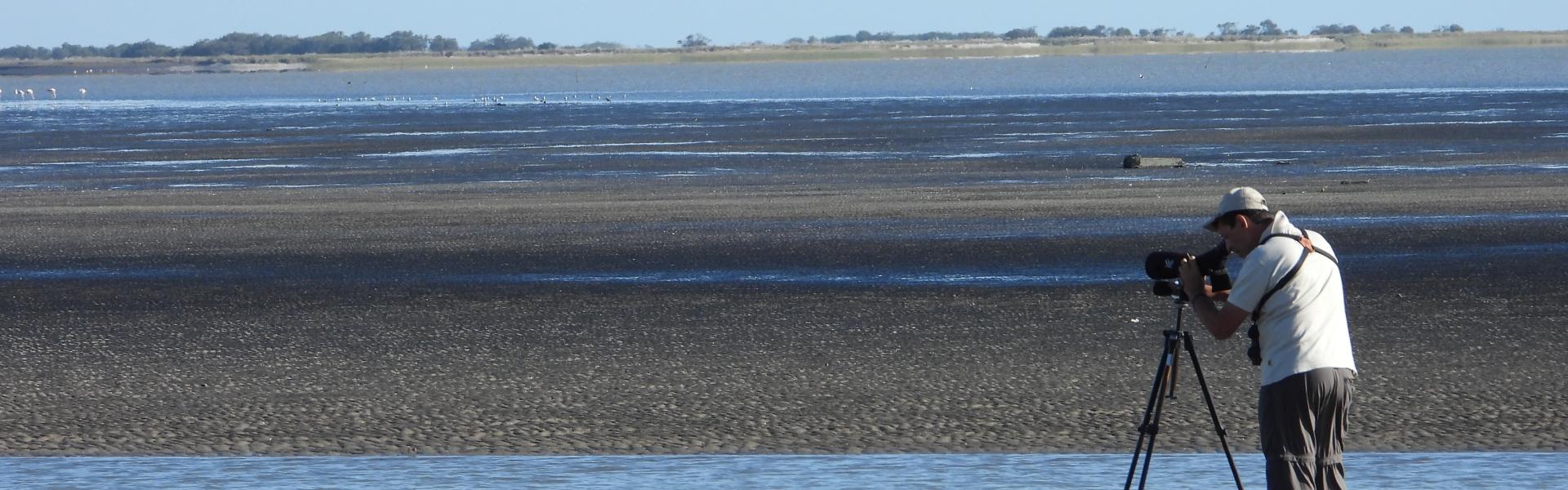 Pampas, Costa y Delta