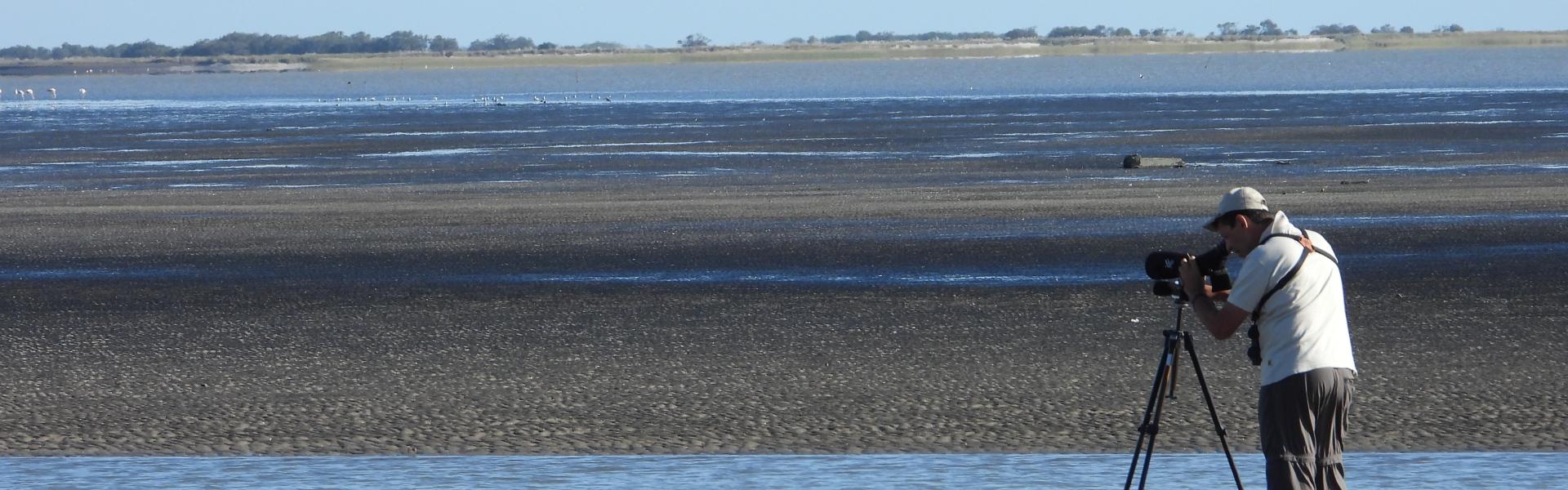 Pampas, Coast and Delta