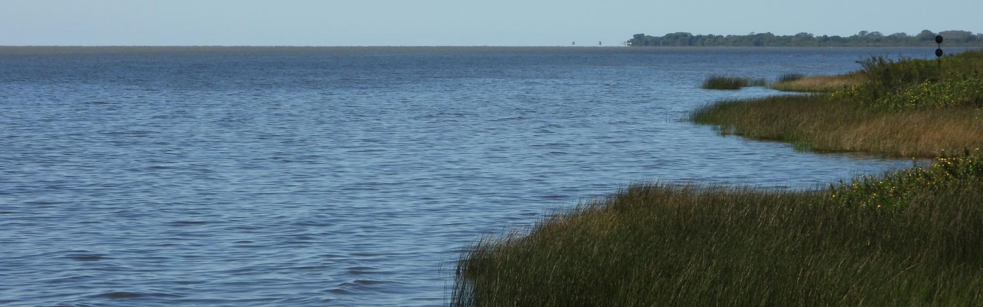 Punta Rasa