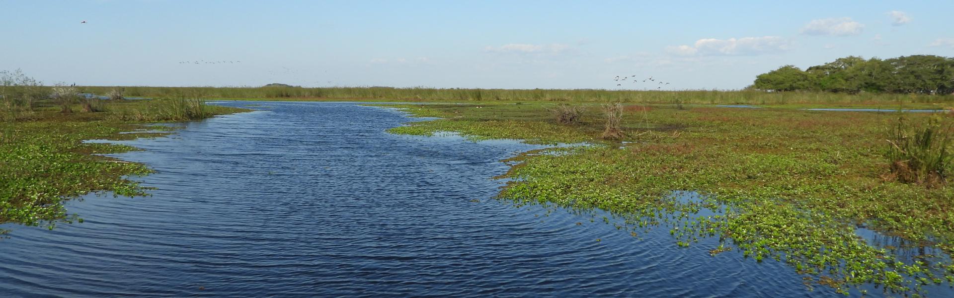 Iberá 