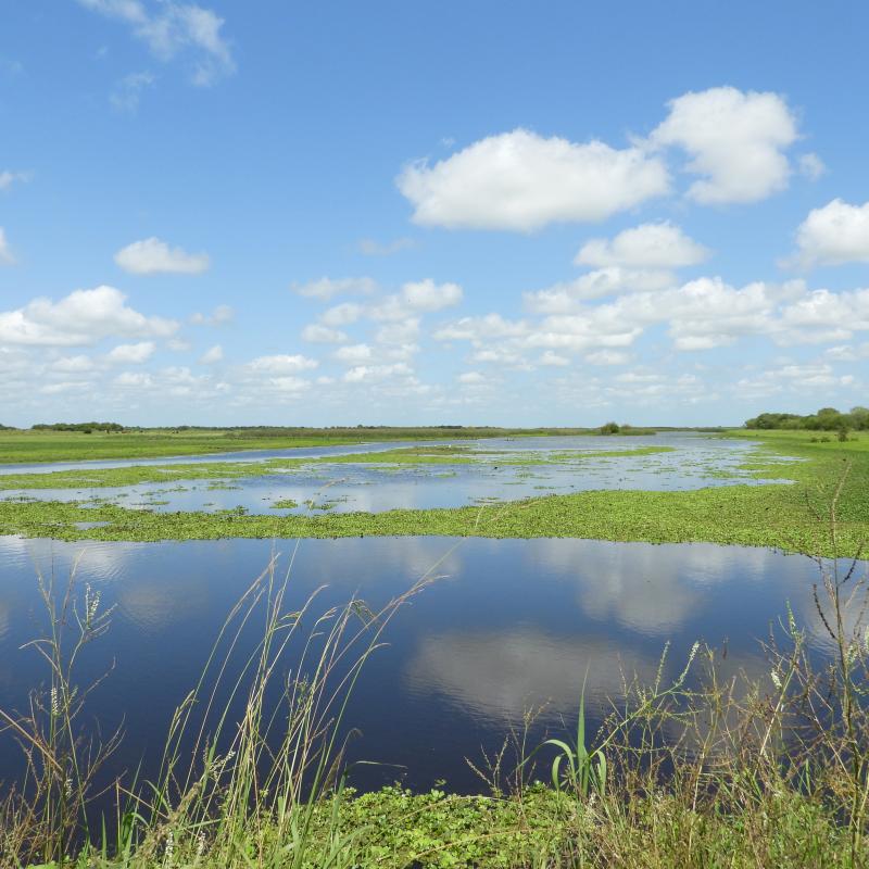 Pampas, Costa y Delta