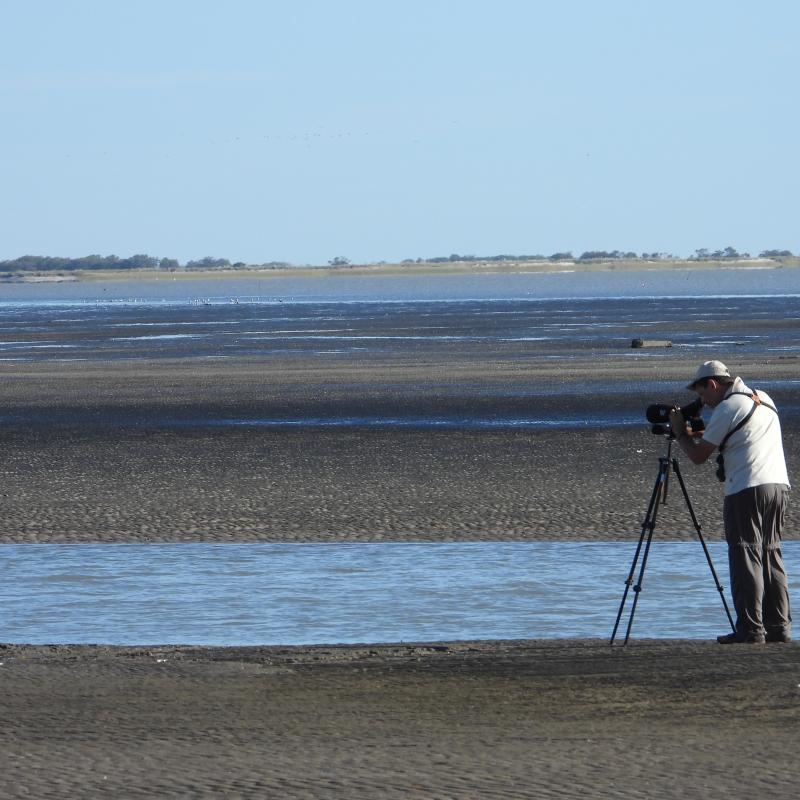 Pampas, Costa y Delta