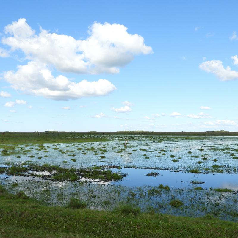 Iberá