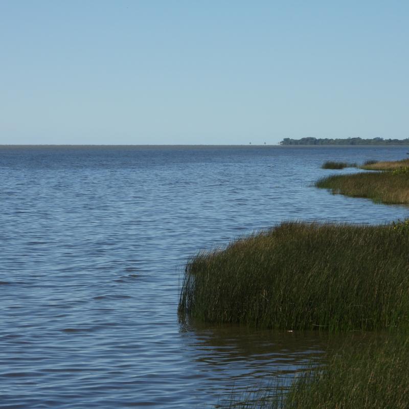 Punta Rasa