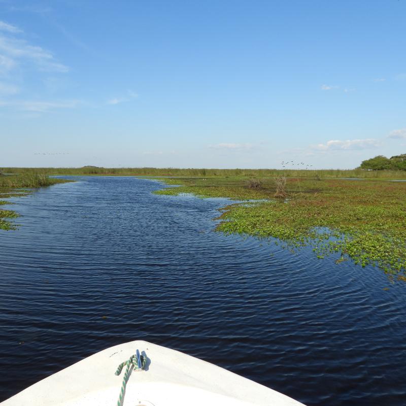Iberá 