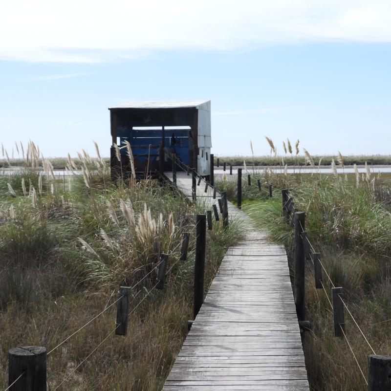 Punta Rasa