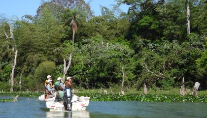 Boat Birding in Southern South America
