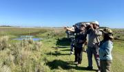Birding in southern southamerica