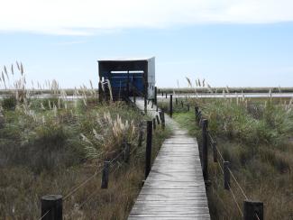 Buenos Aires Coast 