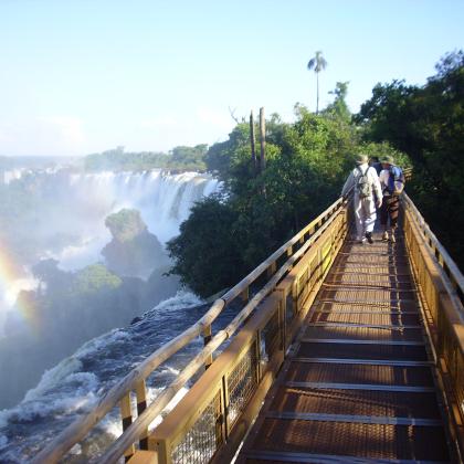 Iguazu Falls birding