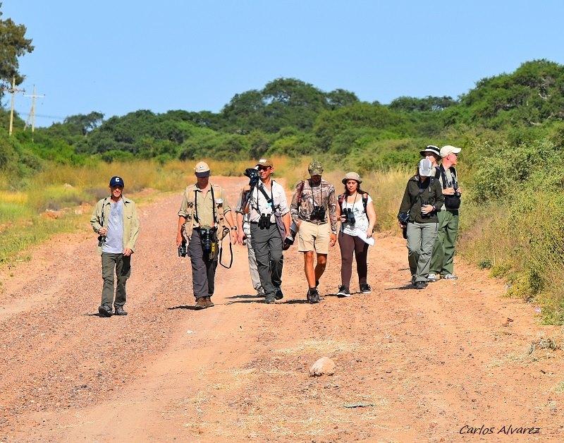 Birding in Argentina